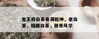 龙王府白茶香满乾坤，老白茶，福鼎白茶，傲骨风华