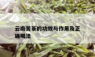 云南苦茶的功效与作用及正确喝法