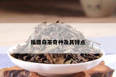 福鼎白茶奇种及其特点