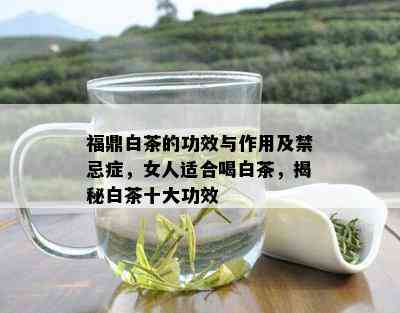 福鼎白茶的功效与作用及禁忌症，女人适合喝白茶，揭秘白茶十大功效