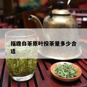 福鼎白茶原叶投茶量多少合适