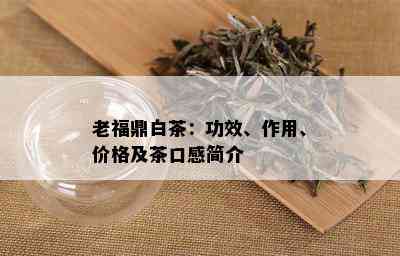 老福鼎白茶：功效、作用、价格及茶口感简介