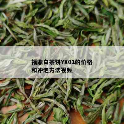 福鼎白茶饼YX01的价格和冲泡方法视频