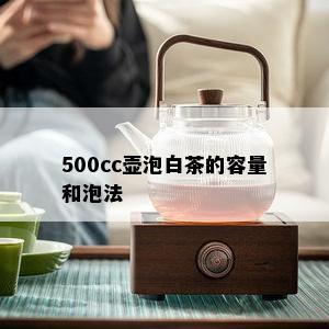 500cc壶泡白茶的容量和泡法