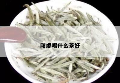 阳虚喝什么茶好