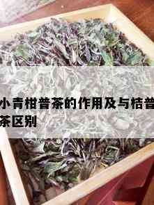 小青柑普茶的作用及与桔普茶区别