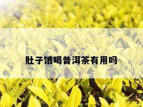 肚子饿喝普洱茶有用吗