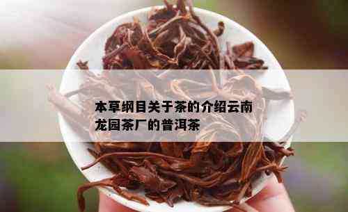 本草纲目关于茶的介绍云南龙园茶厂的普洱茶