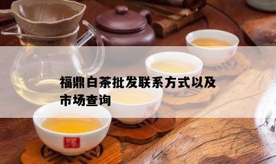 福鼎白茶批发联系方式以及市场查询