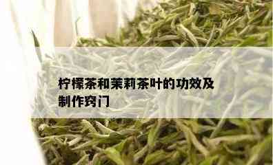 柠檬茶和茉莉茶叶的功效及制作窍门