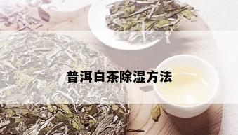 普洱白茶除湿方法