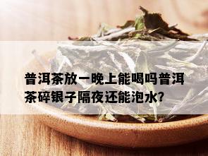 普洱茶放一晚上能喝吗普洱茶碎银子隔夜还能泡水？