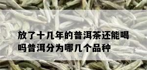 放了十几年的普洱茶还能喝吗普洱分为哪几个品种