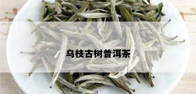 乌枝古树普洱茶