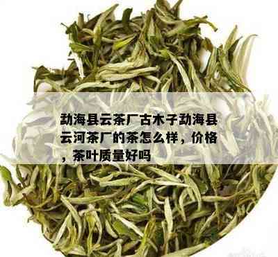 勐海县云茶厂古木子勐海县云河茶厂的茶怎么样，价格，茶叶质量好吗