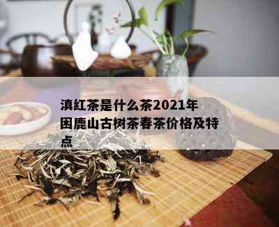 滇红茶是什么茶2021年困鹿山古树茶春茶价格及特点