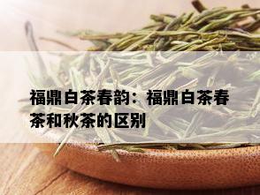 福鼎白茶春韵：福鼎白茶春茶和秋茶的区别