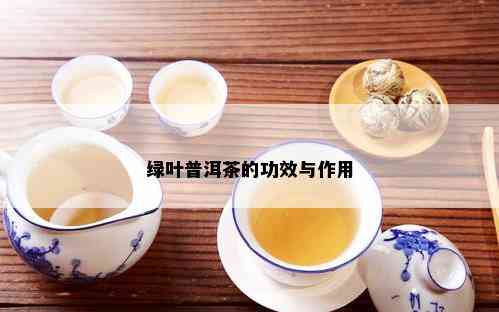 绿叶普洱茶的功效与作用