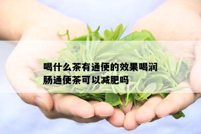 喝什么茶有通便的效果喝润肠通便茶可以减肥吗