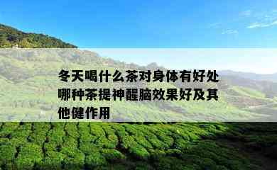 冬天喝什么茶对身体有好处哪种茶提神醒脑效果好及其他健作用