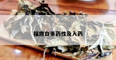 福鼎白茶性及入