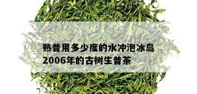 熟普用多少度的水冲泡冰岛2006年的古树生普茶