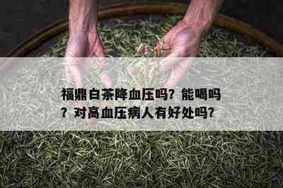 福鼎白茶降血压吗？能喝吗？对高血压病人有好处吗？