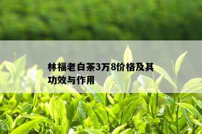 林福老白茶3万8价格及其功效与作用