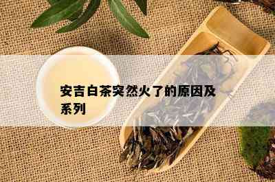 安吉白茶突然火了的原因及系列