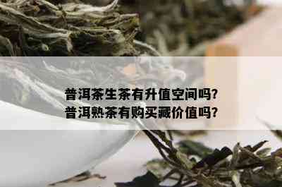 普洱茶生茶有升值空间吗？普洱熟茶有购买藏价值吗？