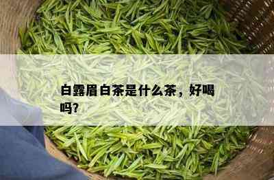 白露眉白茶是什么茶，好喝吗？