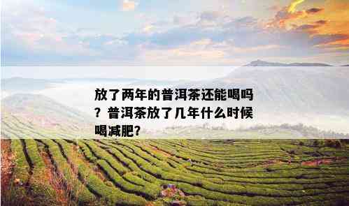 放了两年的普洱茶还能喝吗？普洱茶放了几年什么时候喝减肥？