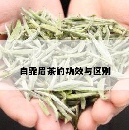 白霏眉茶的功效与区别