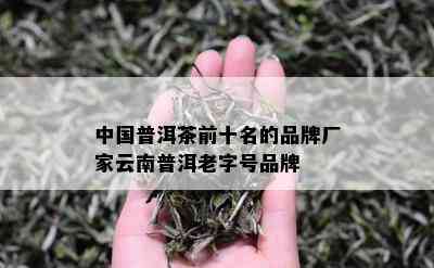 中国普洱茶前十名的品牌厂家云南普洱老字号品牌