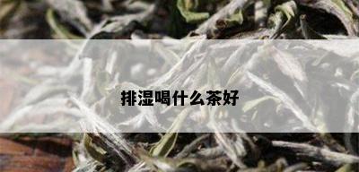 排湿喝什么茶好