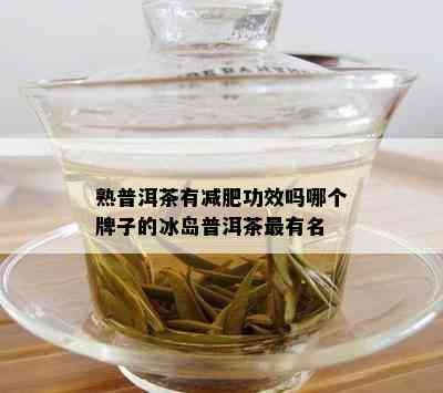 熟普洱茶有减肥功效吗哪个牌子的冰岛普洱茶最有名