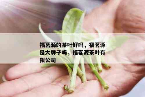 福茗源的茶叶好吗，福茗源是大牌子吗，福茗源茶叶有限公司