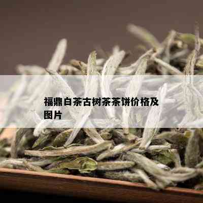 福鼎白茶古树茶茶饼价格及图片