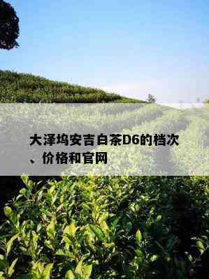 大泽坞安吉白茶D6的档次、价格和官网