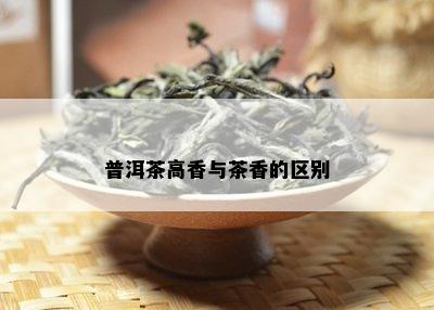 普洱茶高香与茶香的区别