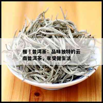 楷鳳普洱茶：品味独特的云南普洱茶，享受健生活