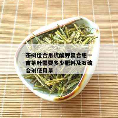 茶树适合用 *** 钾复合肥一亩茶叶需要多少肥料及石硫合剂使用量