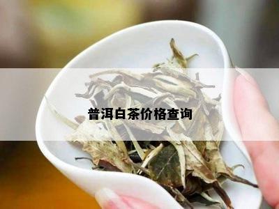 普洱白茶价格查询