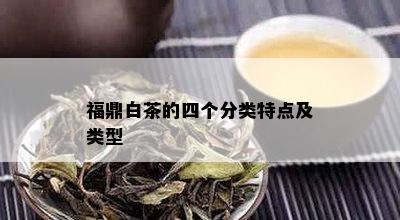 福鼎白茶的四个分类特点及类型