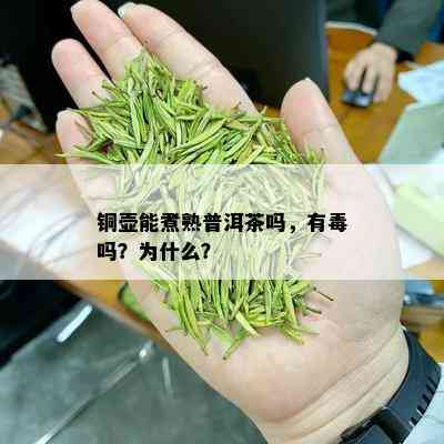 铜壶能煮熟普洱茶吗，有吗？为什么？