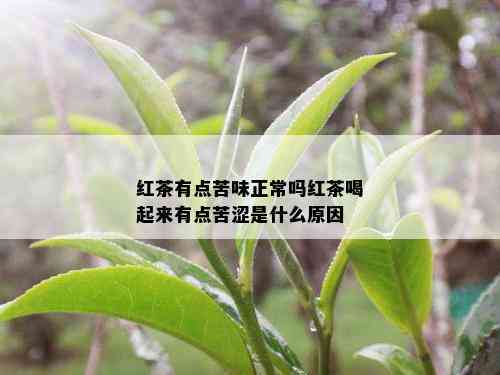 红茶有点苦味正常吗红茶喝起来有点苦涩是什么原因