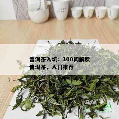 普洱茶入坑：100问解读普洱茶，入门推荐