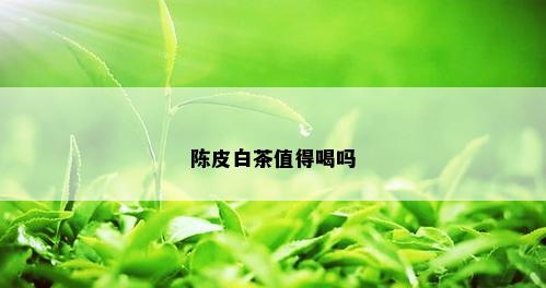 陈皮白茶值得喝吗