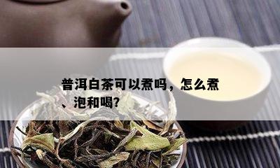 普洱白茶可以煮吗，怎么煮、泡和喝？