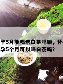 孕5月能喝老白茶吧嘛，怀孕5个月可以喝白茶吗？